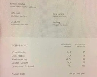 Goethe-Zertifikat A1