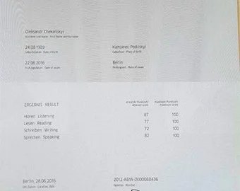 Goethe-Zertifikat B1